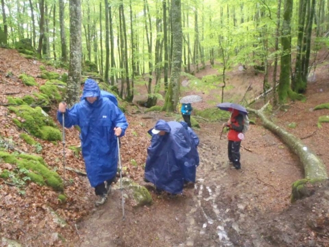 andando bajo la lluvia
